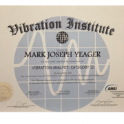 Mark Yeager category 3 vibration analyst